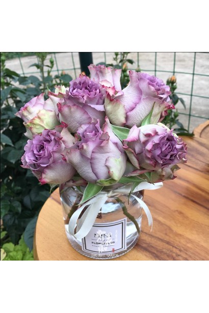  Троянда чайно-гібридна ’Дольчетто’ у вазі